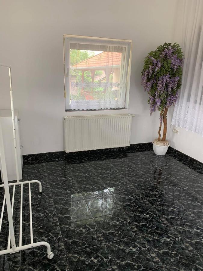 Apartmán Magic Vendeghaz Abádszalók Exteriér fotografie